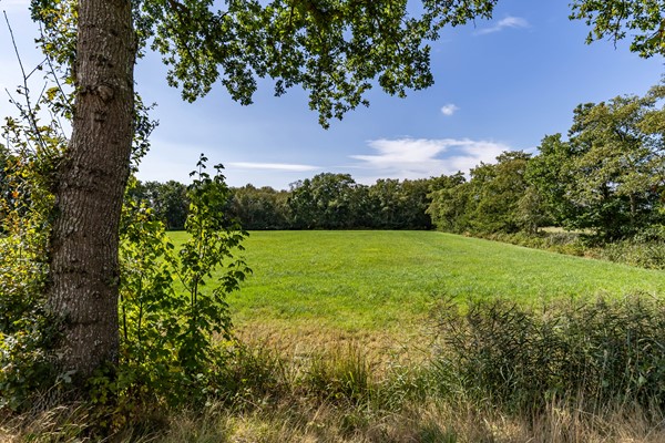 Medium property photo - Halbe Wiersemaweg 6, 9365 TB Niebert